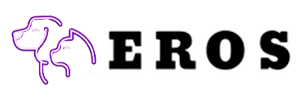 Eros Derneği